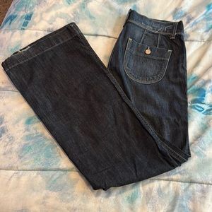 American Eagle Outfitters Dark Blue Flare Jeans